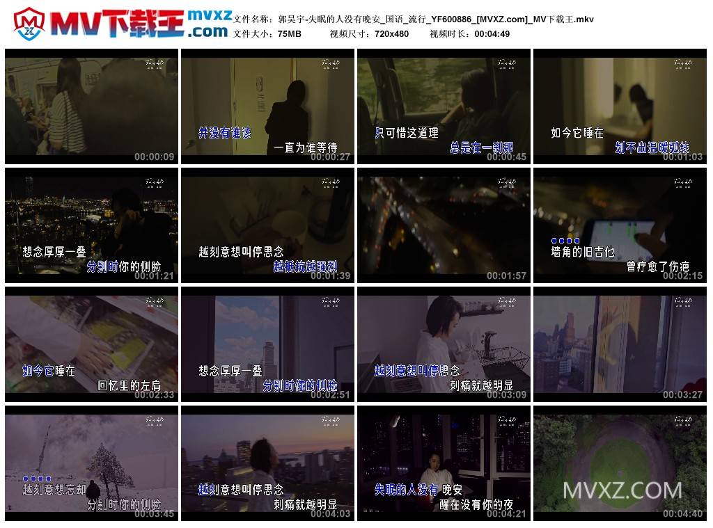 郭昊宇-失眠的人没有晚安_国语_流行_YF600886